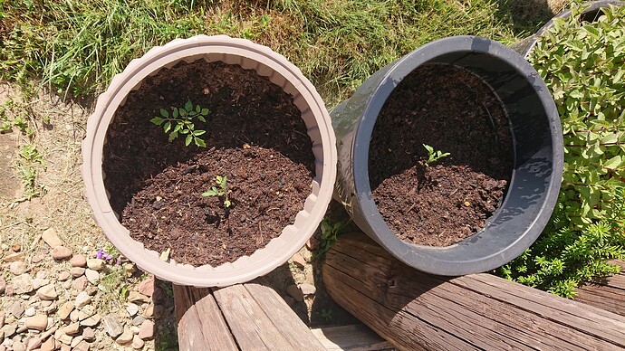 Growreport Bild 23