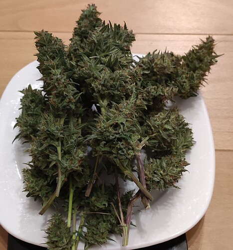 Growreport Bild 16