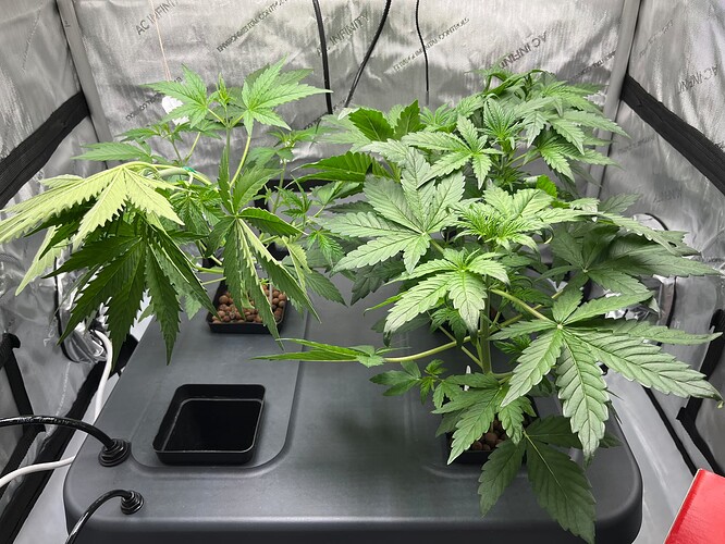 Growreport Bild 7
