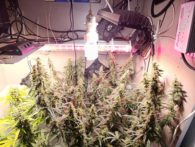 Growreport Bild 26