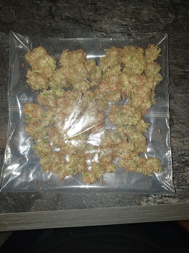 Growreport Bild 8