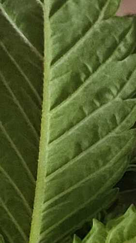 Growreport Bild 21