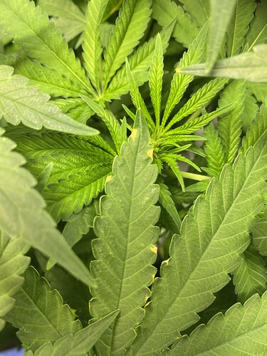 Growreport Bild 30