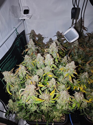 MVIMG_20251128_150016