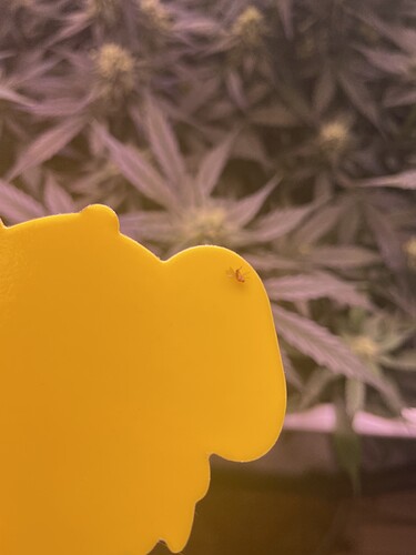 Growreport Bild 2