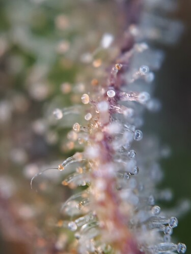 MVIMG_20251130_225703