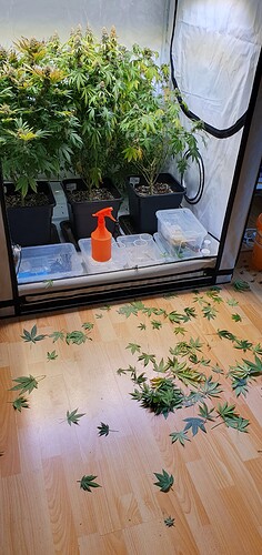 Growreport Bild 3