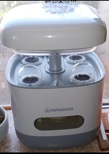 Growreport Bild 3