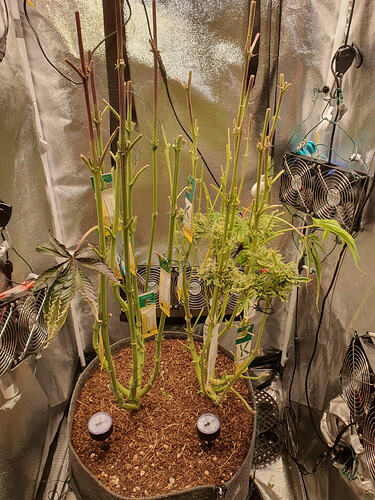 Growreport Bild 26