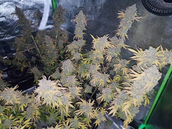 Growreport Bild 22
