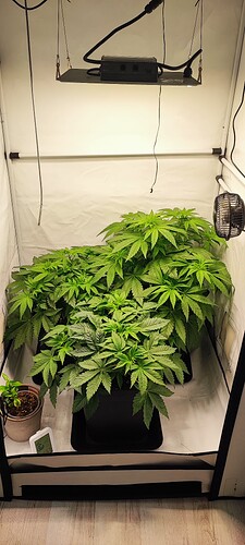 Growreport Bild 2