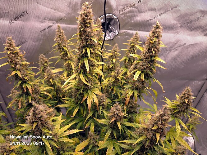 Growreport Bild 7