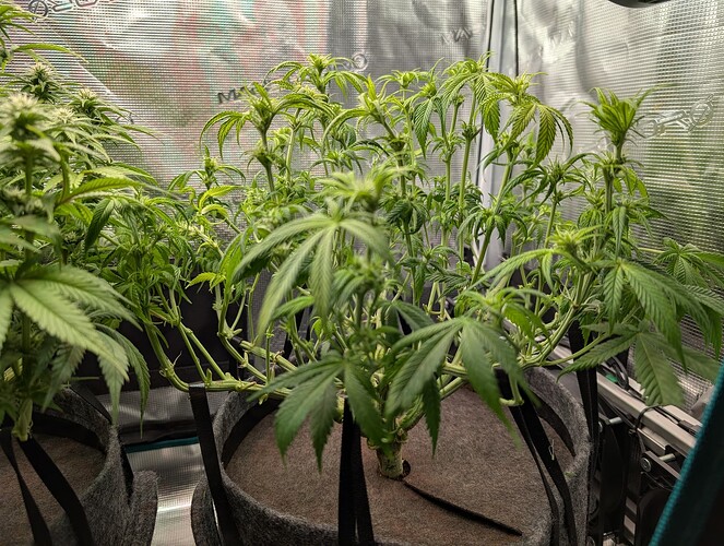 Growreport Bild 10