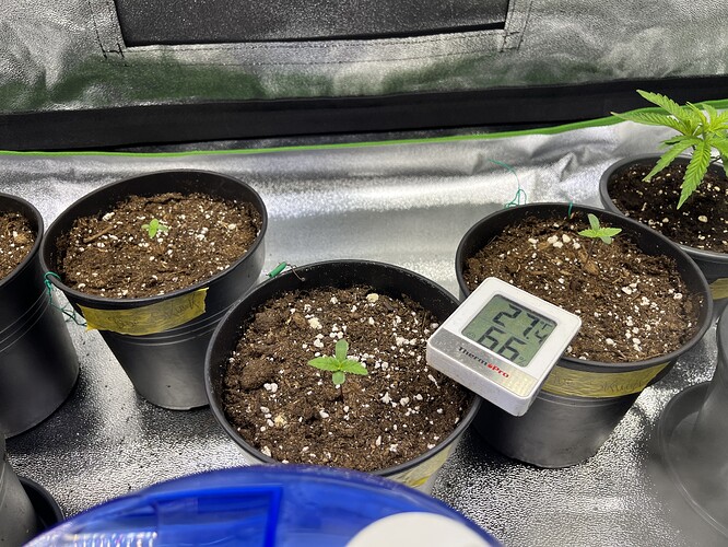 Growreport Bild 58