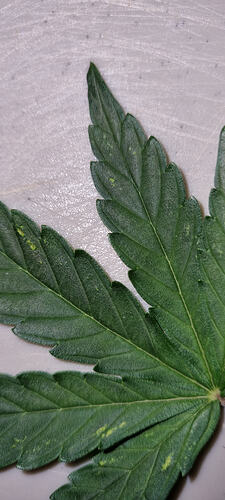20260515_191645
