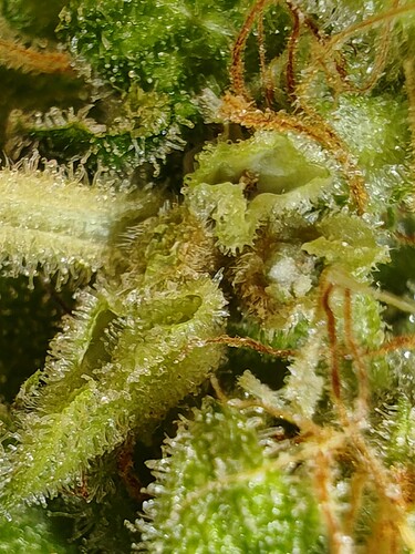 Growreport Bild 18