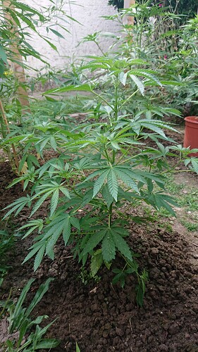 Growreport Bild 56