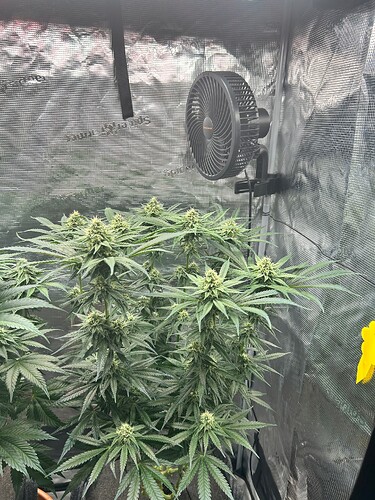 Growreport Bild 16