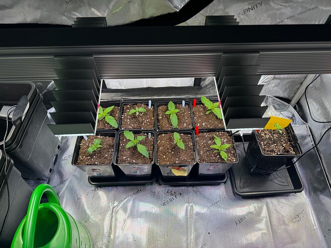 Growreport Bild 10