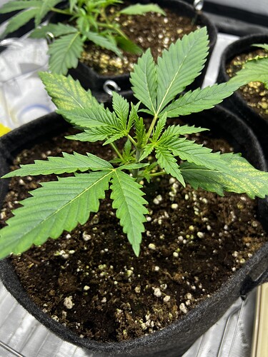 Growreport Bild 16
