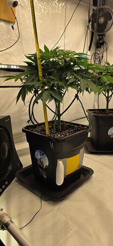 Growreport Bild 9