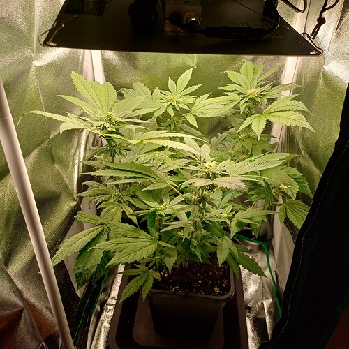 Growreport Bild 14