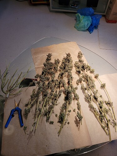Growreport Bild 11