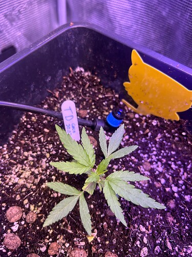 Growreport Bild 7