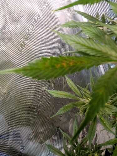 Growreport Bild 10