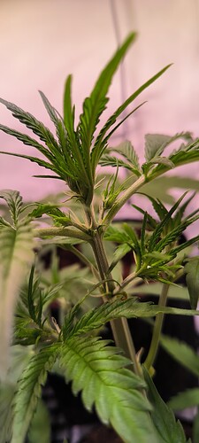 Growreport Bild 5