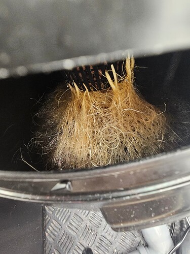 Growreport Bild 4