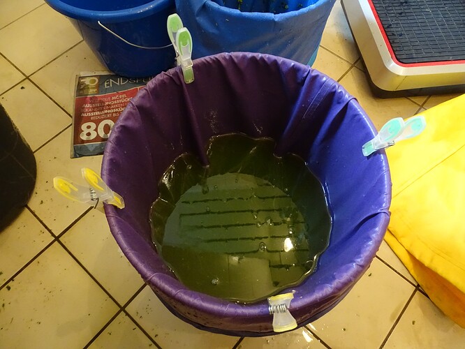 Growreport Bild 22
