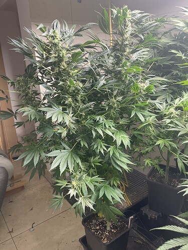Growreport Bild 13
