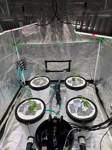 Growreport Bild 8
