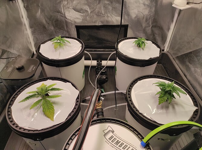 IMG_20241218_141410_1