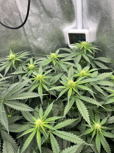 Growreport Bild 11