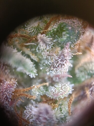 Growreport Bild 12