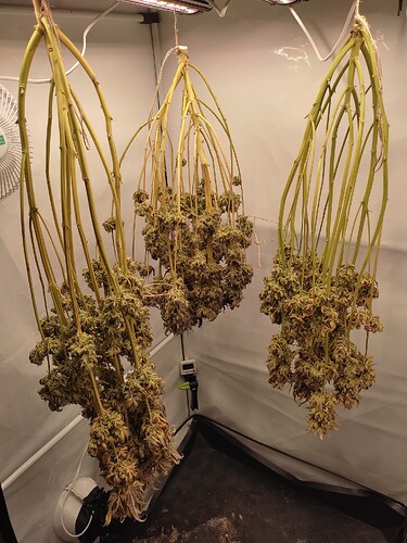 Growreport Bild 58