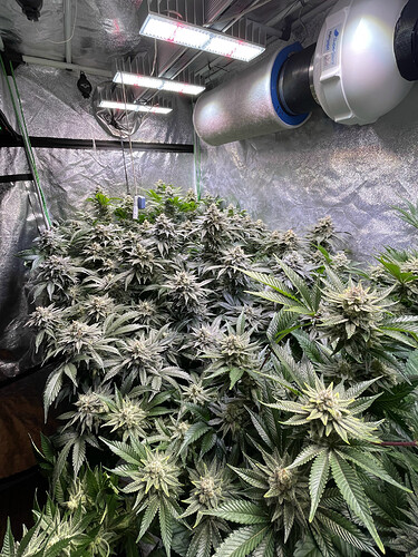 Growreport Bild 12