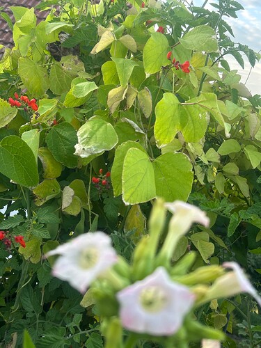 Growreport Bild 11