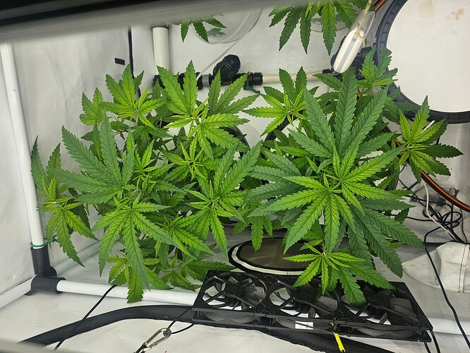 Growreport Bild 6