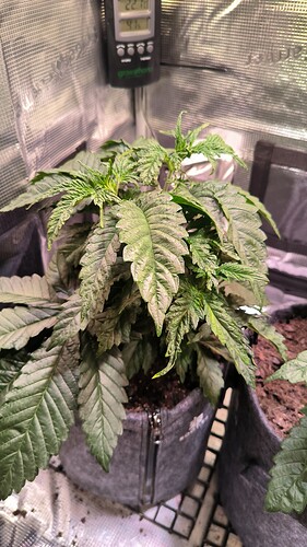 Growreport Bild 2