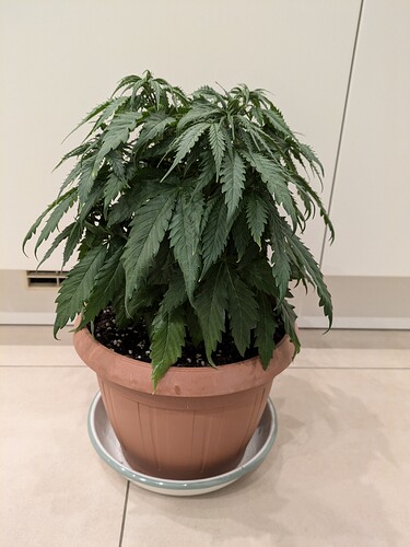Growreport Bild 10
