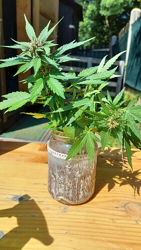 Growreport Bild 15