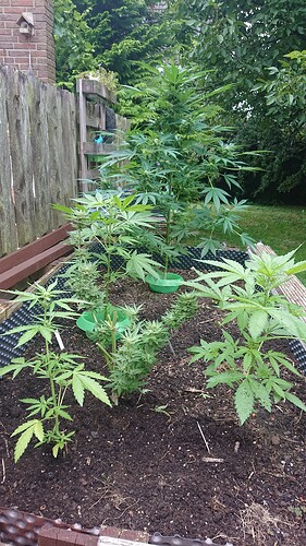 Growreport Bild 10