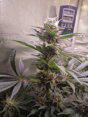 Growreport Bild 25