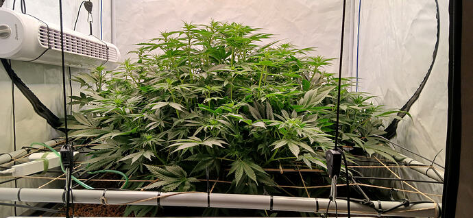 Growreport Bild 2
