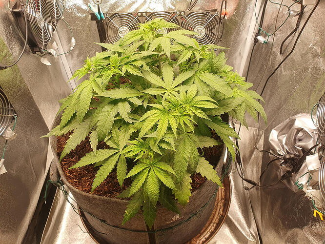 Tag 29 -2026-03-05-214446_006