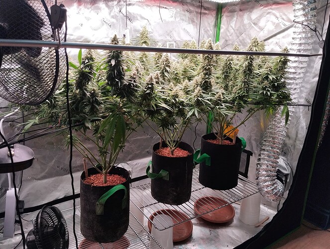Growreport Bild 18