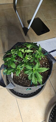 Growreport Bild 8